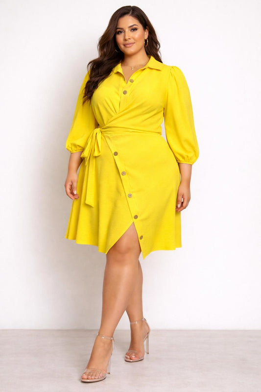 Jancy Dress plus