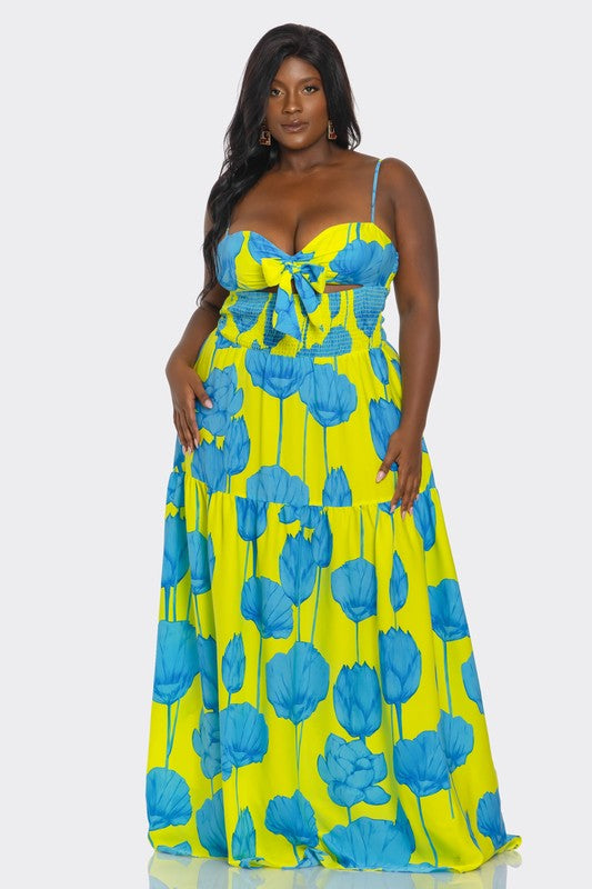 Imarie Dress Plus
