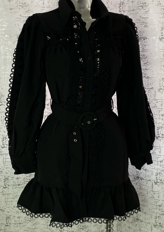 Delicated Dress